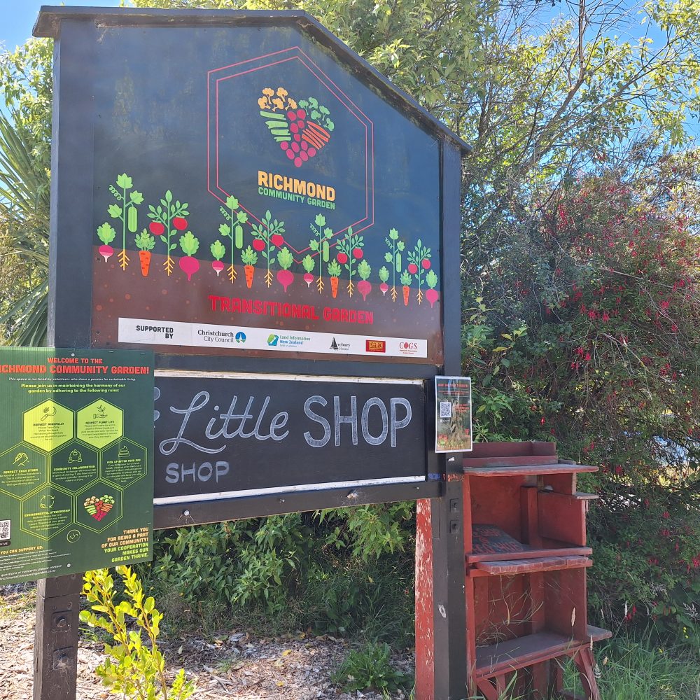 Large blackboard on a two legged stand, decorated with illustrations of green and red vegetables, with Little Shop as the signage and an old bookcase next to it for shelving